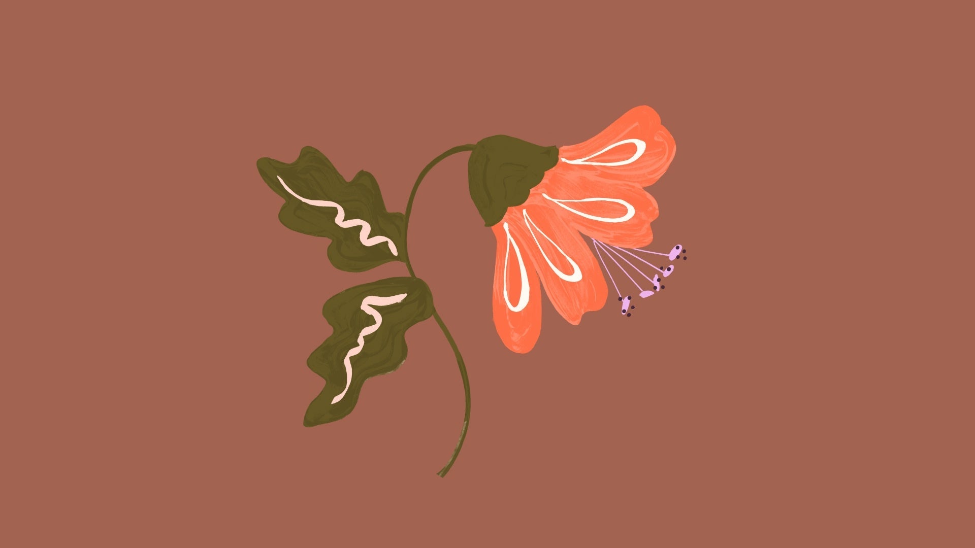 The Lazy Gardener's Guide to a Beautiful Garden