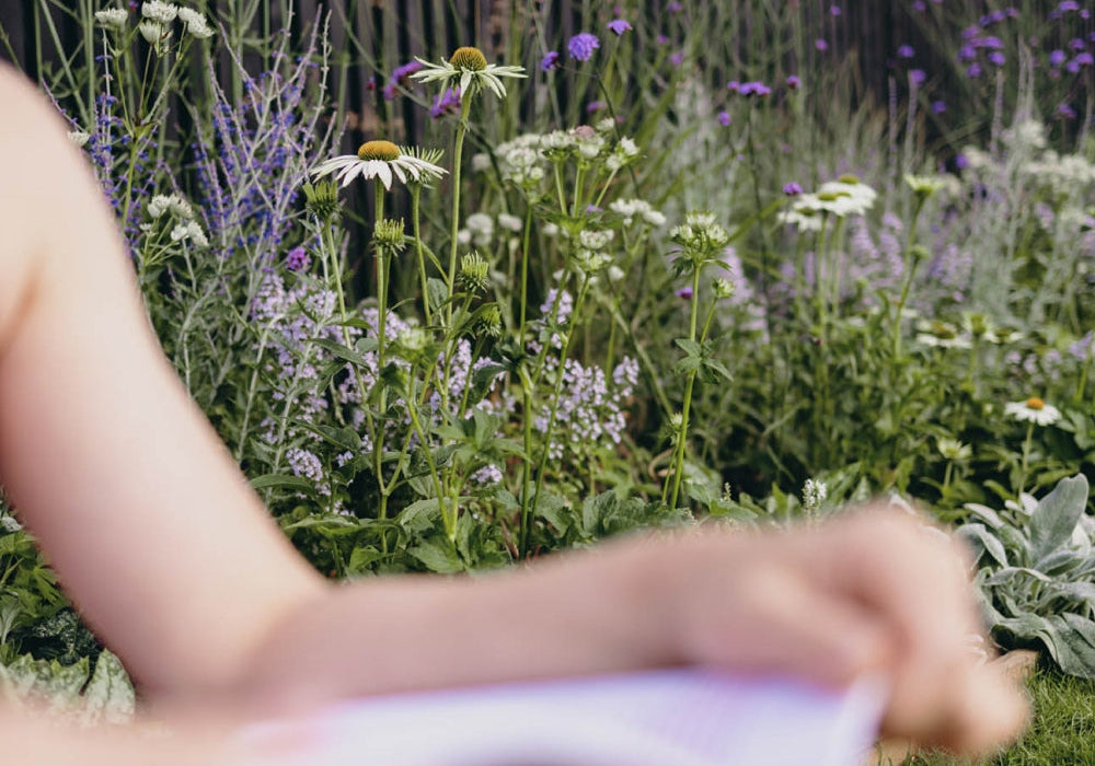 10 reasons why gardening is good for you (and your soul)