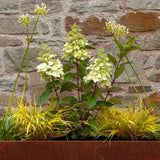 Bold Container Collection