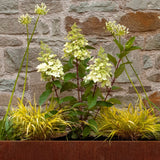 Kind Planter Collection