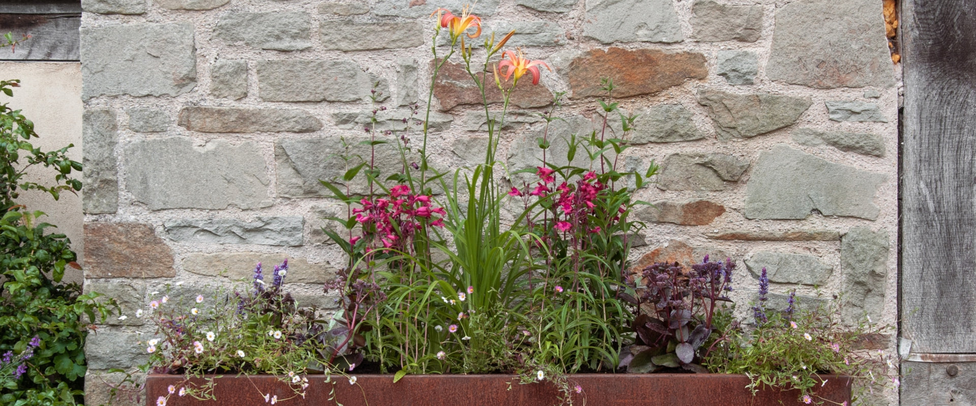 Kind Planter Collection