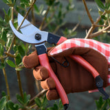 Bypass Secateurs by Burgon & Ball,  Red