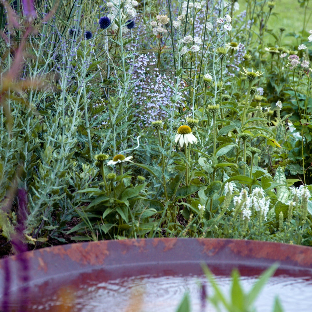 A rustic metal birdbath is in the foreground, partially filled with water. Behind it, there is a lush garden with blooming wildflowers, including white and yellow blooms, surrounded by green foliage. The scene is set outdoors.