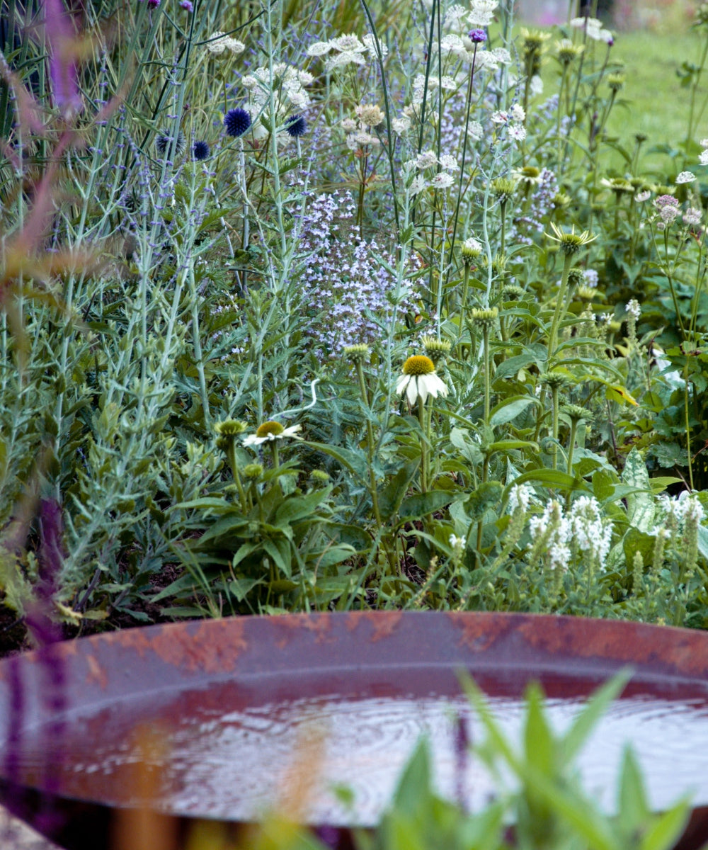 A rustic metal birdbath is in the foreground, partially filled with water. Behind it, there is a lush garden with blooming wildflowers, including white and yellow blooms, surrounded by green foliage. The scene is set outdoors.