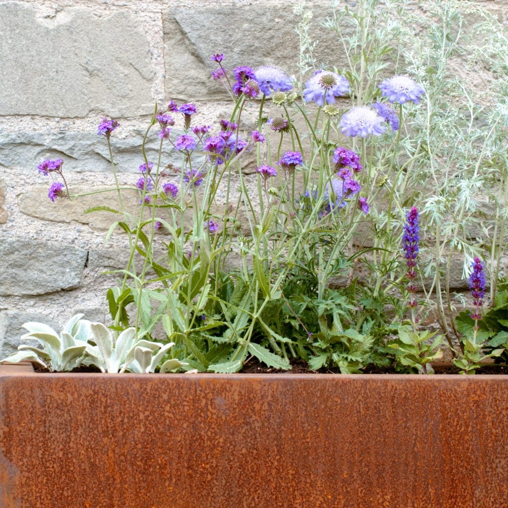 The Calm Planter Collection by We Say Grow features a rust-colored rectangular metal planter with purple and blue flowers and lush green foliage, sitting against a stone wall for a soothing, healing garden ambiance.