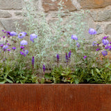 Kind Planter Collection