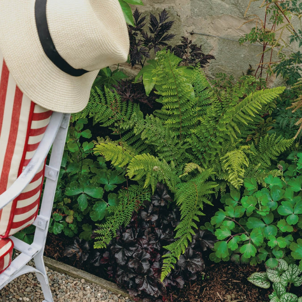 A white chair with red stripes and a straw hat rests beside a lush garden bed. The garden contains vibrant ferns and various green plants, bordered by a stone wall. Gravel is visible on the ground.