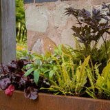The Curious Planter Collection by We Say Grow features jungle plants with dark purple, light green, and yellow-green leaves. It sits against a stone and brick wall, nestled among greenery with pops of vibrant flowers.