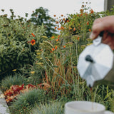A hand pours coffee from a moka pot into a cup outdoors, surrounded by We Say Grows Inspired Flower Bed Collection, featuring wild meadow flowers and vibrant green plants with orange blooms, creating a delightful Mediterranean vibe.