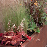 The Inspired Planter Collection by We Say Grow exudes a Mediterranean vibe with delicate white flowers on red leaves in the foreground and tall green grass with small orange blooms in the background. A rust-colored finish complements this lush foliage array.
