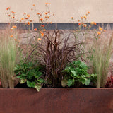 Kind Planter Collection