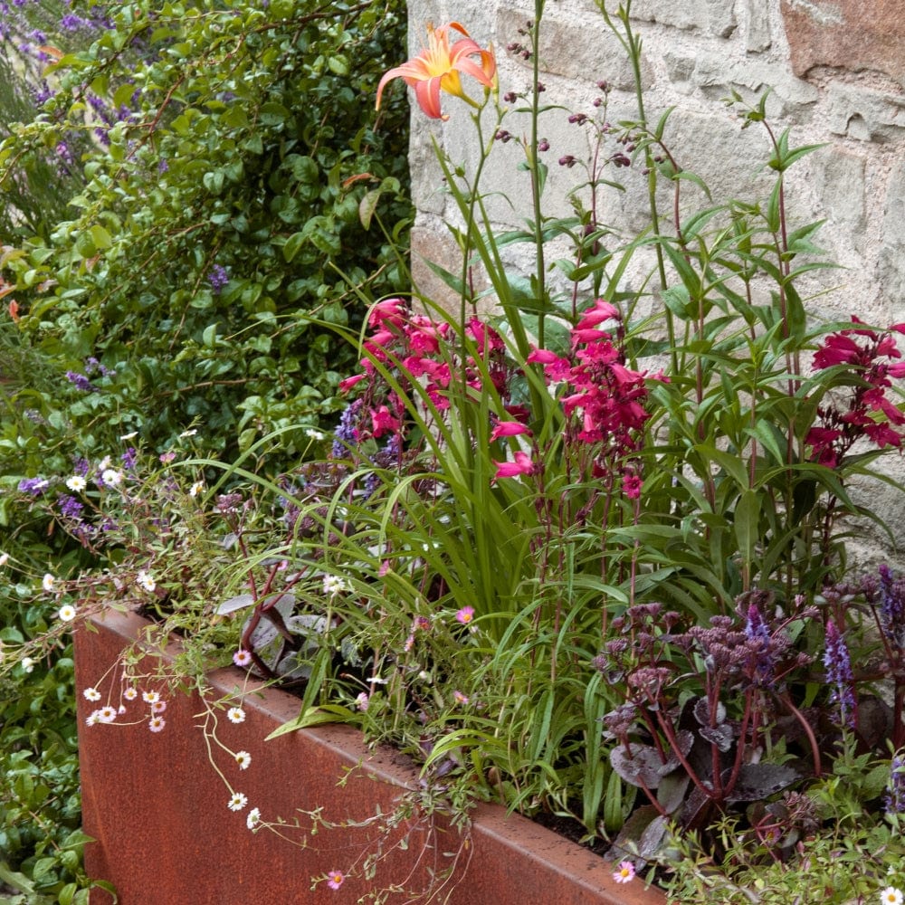 The Kind Planter Collection by We Say Grow features a rust-colored metal border housing hardy perennials, including an orange lily and vivid pink and purple flowers, set against lush green foliage, beautifully framed by a stone wall.